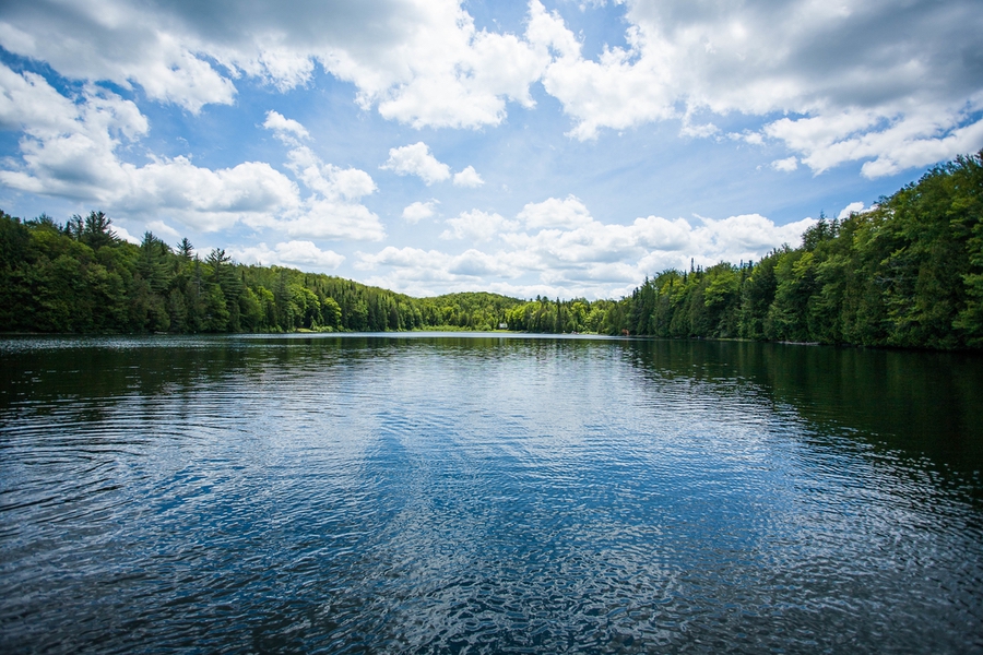 A breathtaking view of a blue sky reflected in the water surrounded by trees