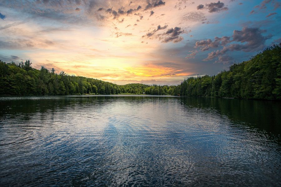 A breathtaking view of a blue sky reflected in the water surrounded by trees